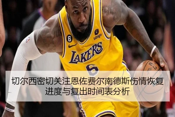 切尔西密切关注恩佐费尔南德斯伤情恢复进度与复出时间表分析